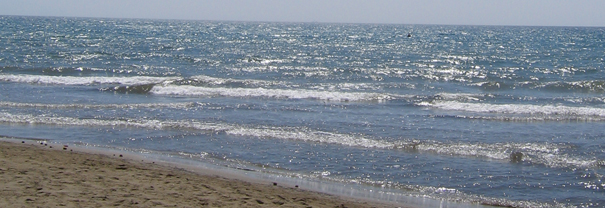 An Image Slideshow